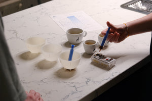 SCA – Brewing Professional