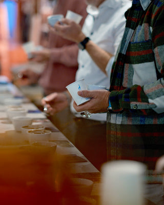 Rotterdam Coffee Fest x Giraffe Coffee - Mini Sensory Training
