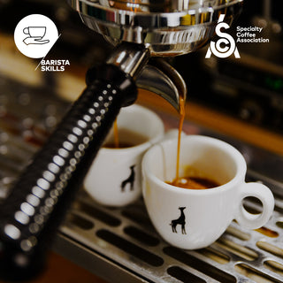 SCA – Barista Skills Foundation