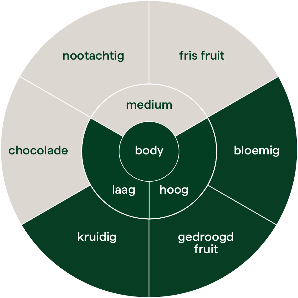 Nueva Florida flavor wheel