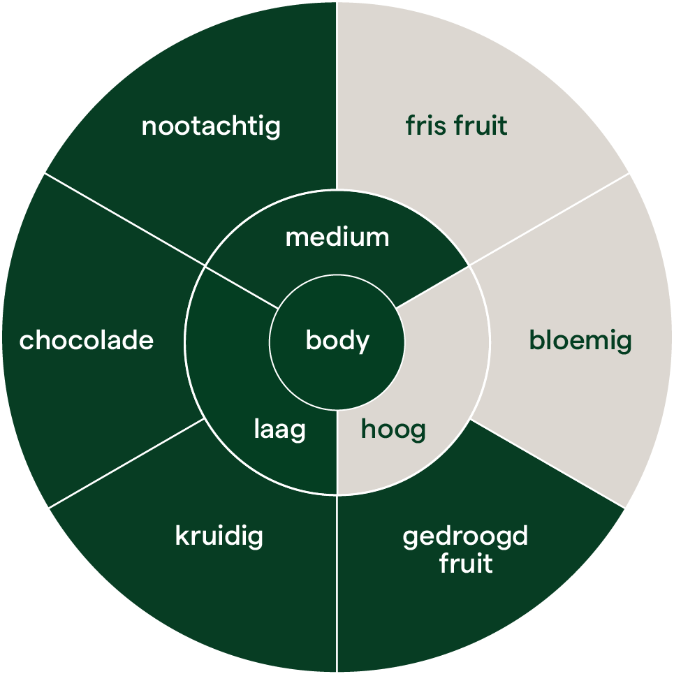 Papayo paradise flavor wheel